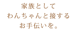 家族としてわんちゃんと接するお手伝いを。