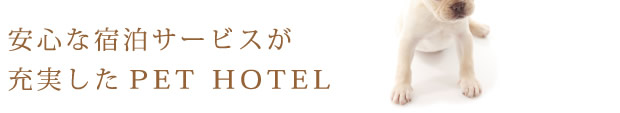 安心な宿泊サービスが充実したPET HOTEL